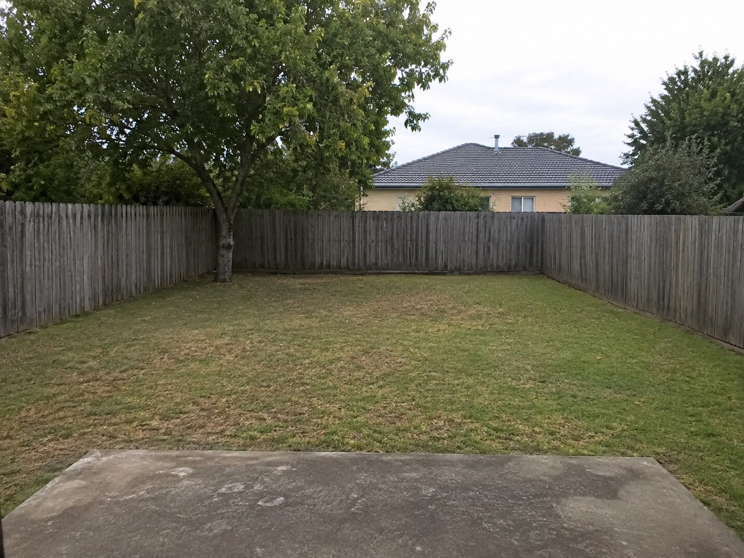 Reimagine your whole garden: Before